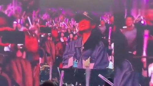 明星看演唱会,明星粉丝的狂欢之夜