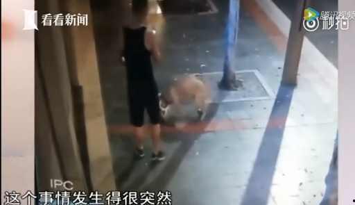 死猫视频,真相与反思