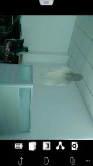 婷婷洗手灵异视频,揭秘洗手间的神秘事件