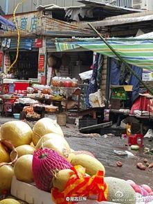 深圳菜市场爆料视频曝光,真实生活场景下的烟火气息