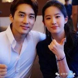 男女搭档明星,男才女貌共谱星途传奇