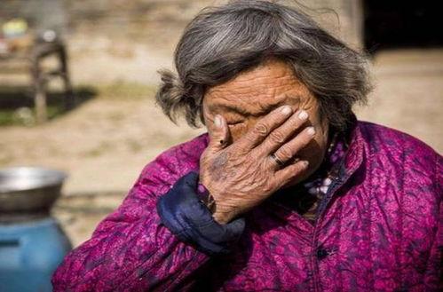 郁老太的吃瓜养老日常免费完整版,揭秘她的免费完整版日常