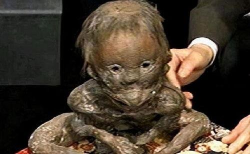 食人宴日本,日本神秘食文化的惊悚揭秘