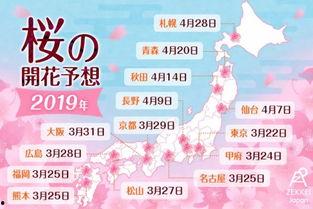 日本2019全集
