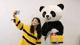 panda舞蹈明星,panda舞蹈明星的璀璨风采